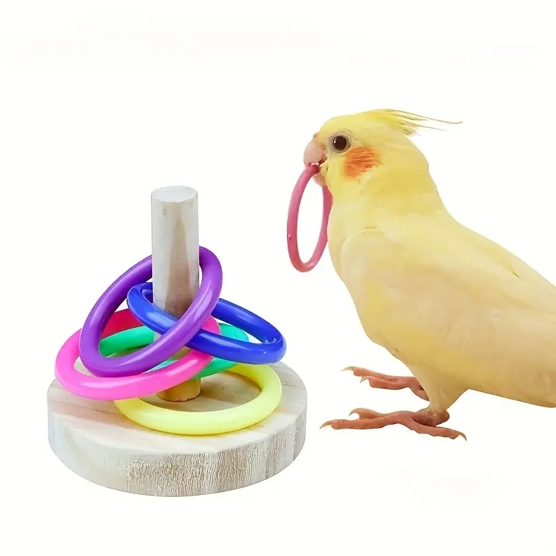 Cockatiel playing with wooden interactive ring toy