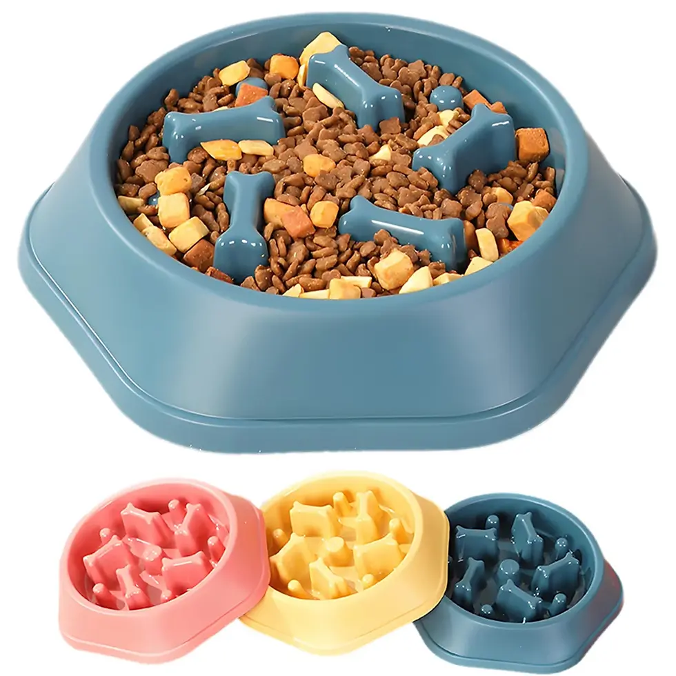 Anti-gulping pet food bowl with slow-feeder maze inserts