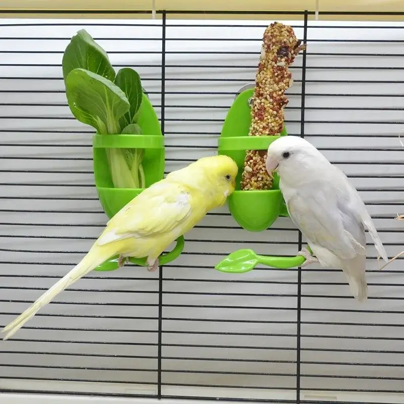 Yellow and white parakeets eating from bird feeders on cage