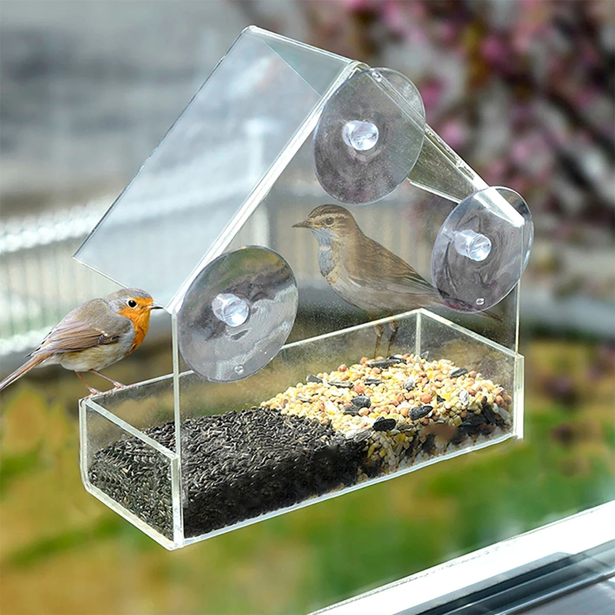 Clear Window Bird Feeder