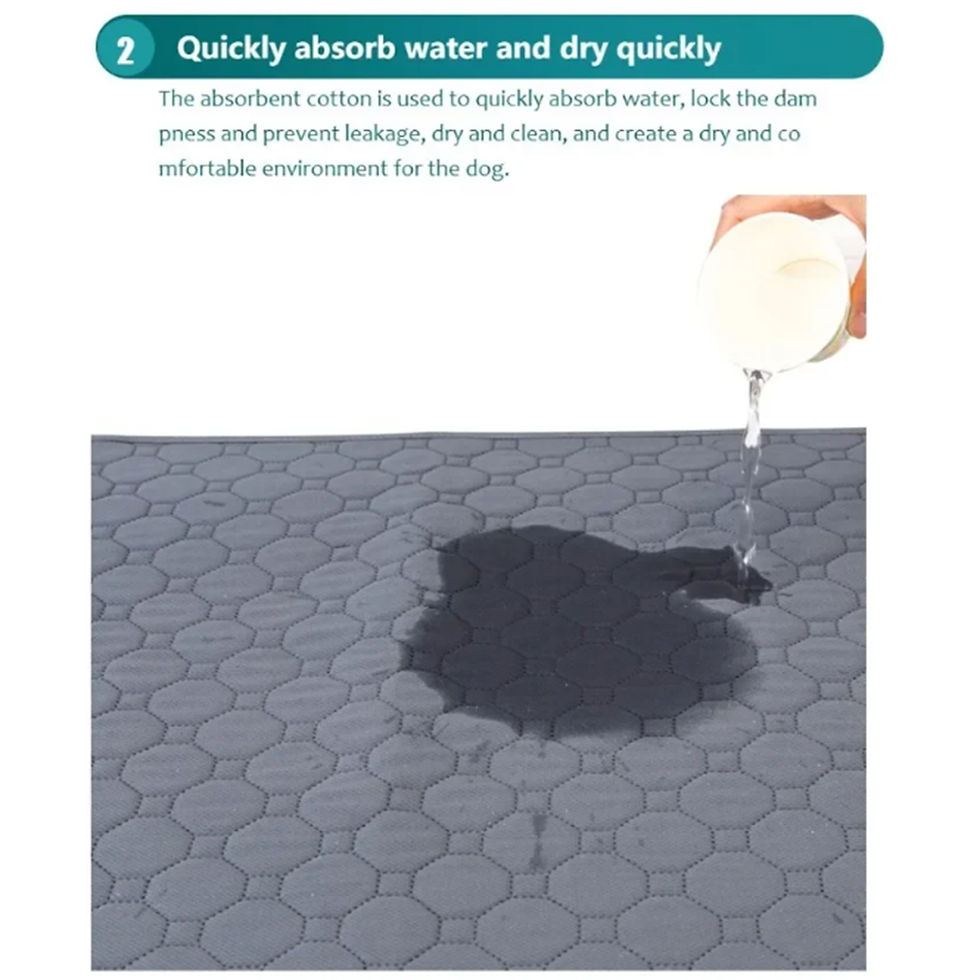 Thumbnail: Water being poured onto a gray absorbent pet training pad