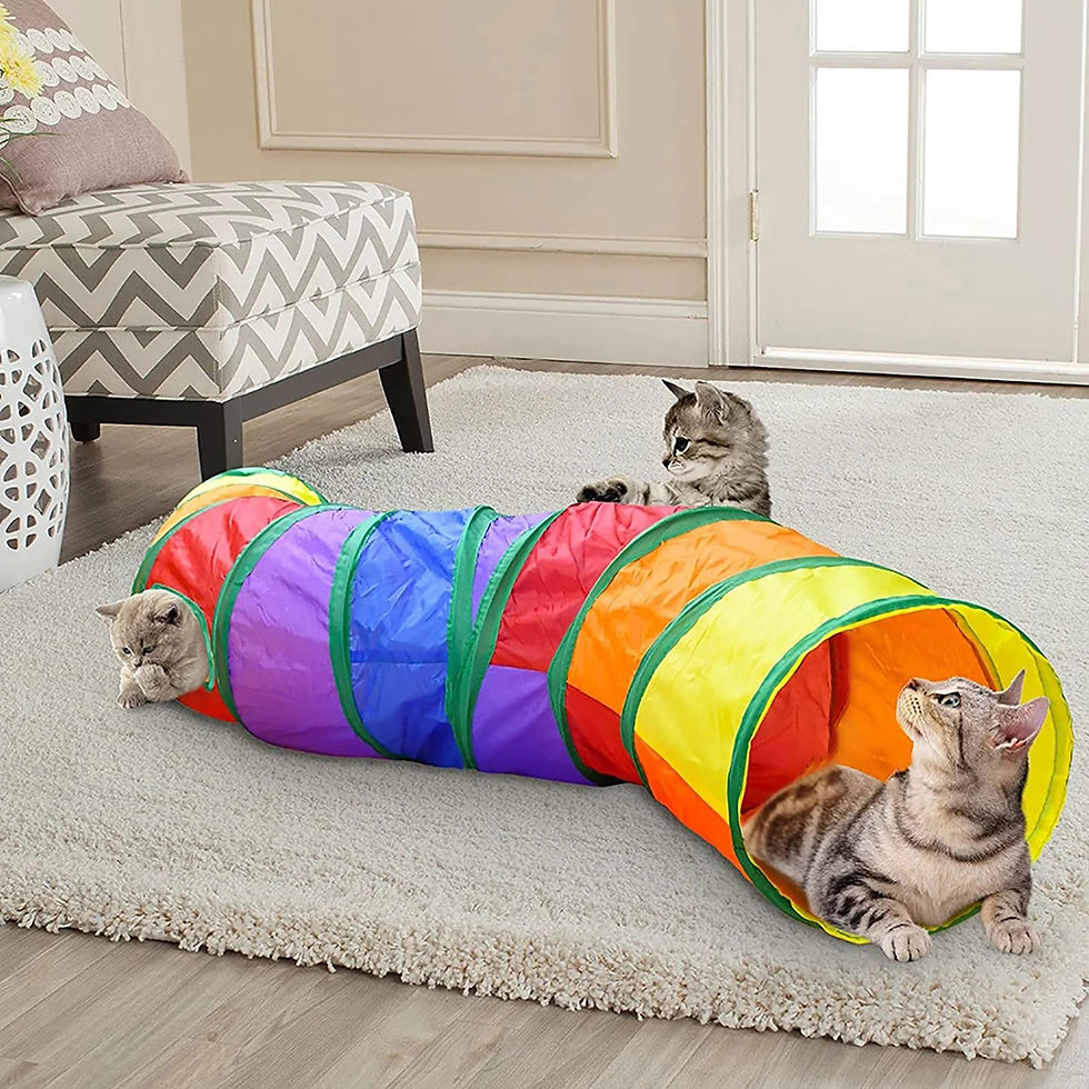 Three cats playing in a rainbow collapsible kitty play tunnel.