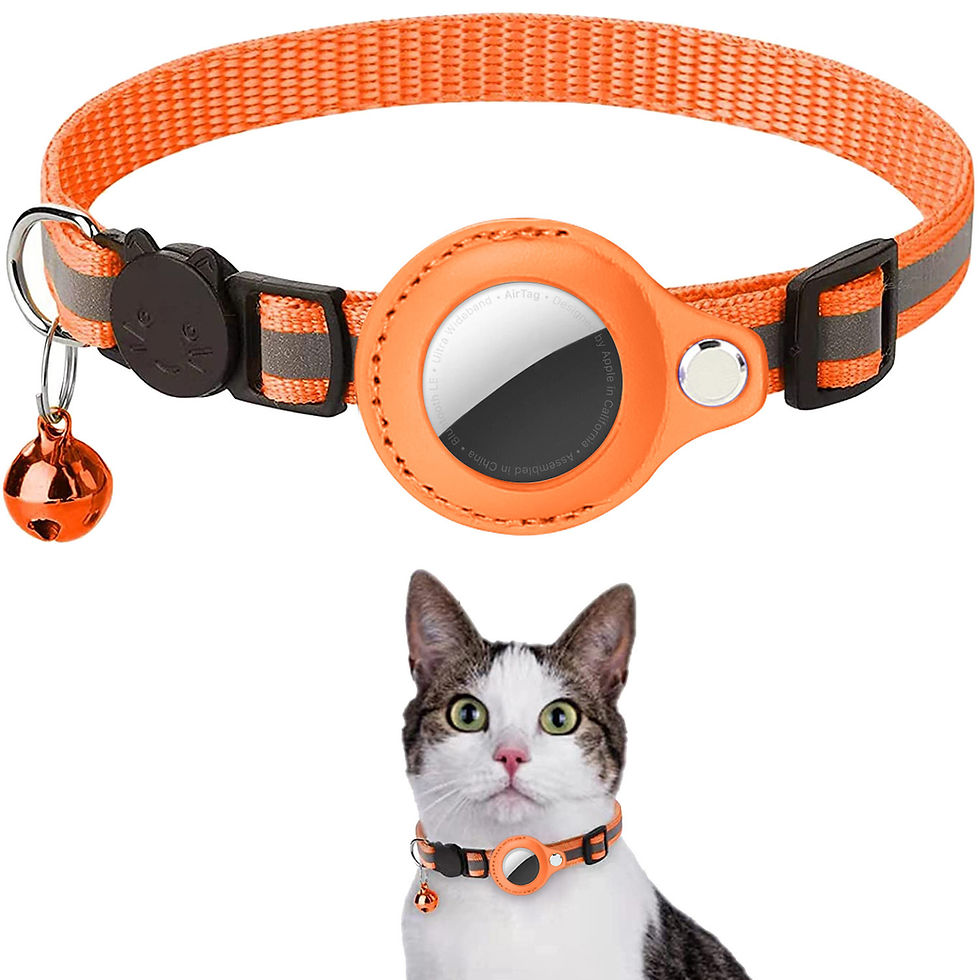 Thumbnail: Orange breakaway cat collar with AirTag holder and bell