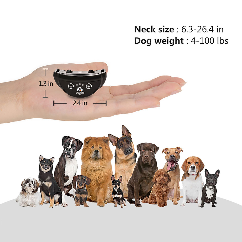 Thumbnail: Rechargeable anti-bark dog collar dimensions and dog breeds