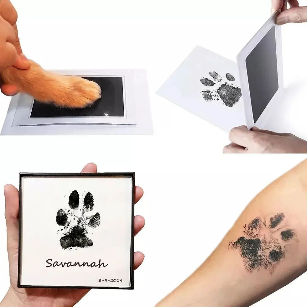 Using a clean touch ink pad for a dog paw print keepsake.