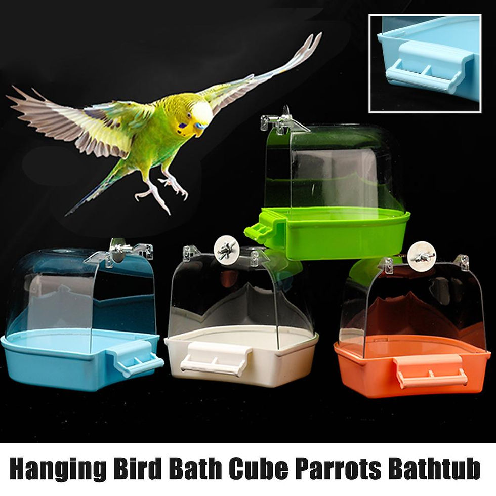 Green parakeet flying above colorful bird bath boxes.
