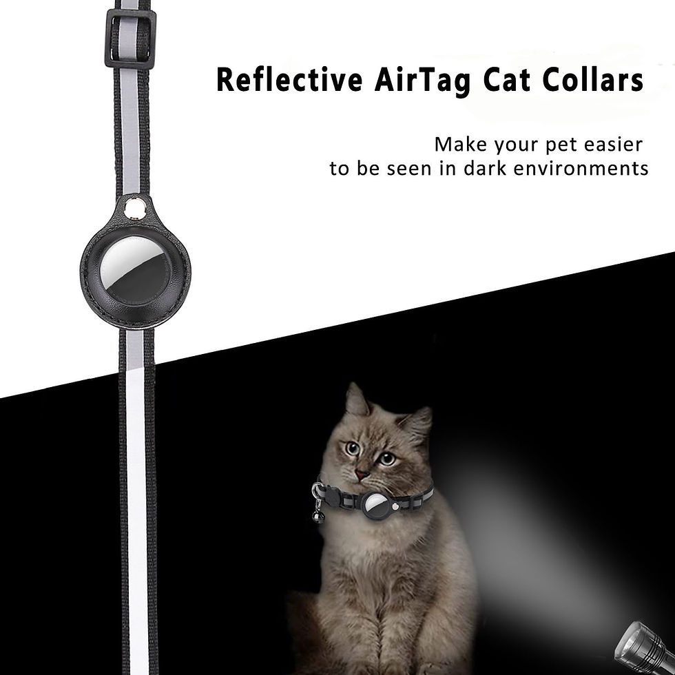 Thumbnail: Reflective AirTag cat collar showing visibility in the dark.