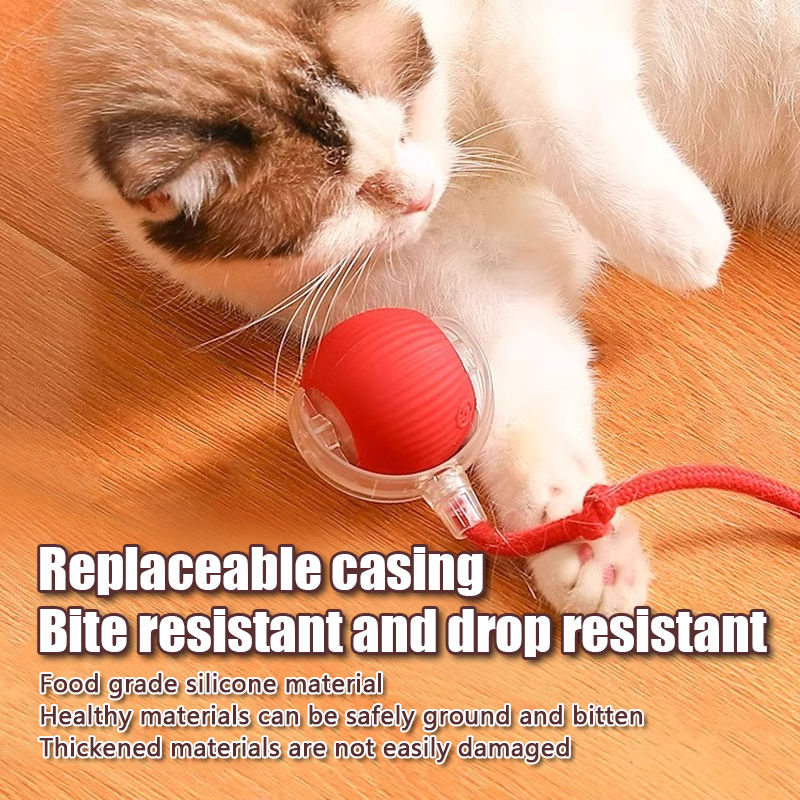 Thumbnail: Smart Motion-Activated Pet Ball