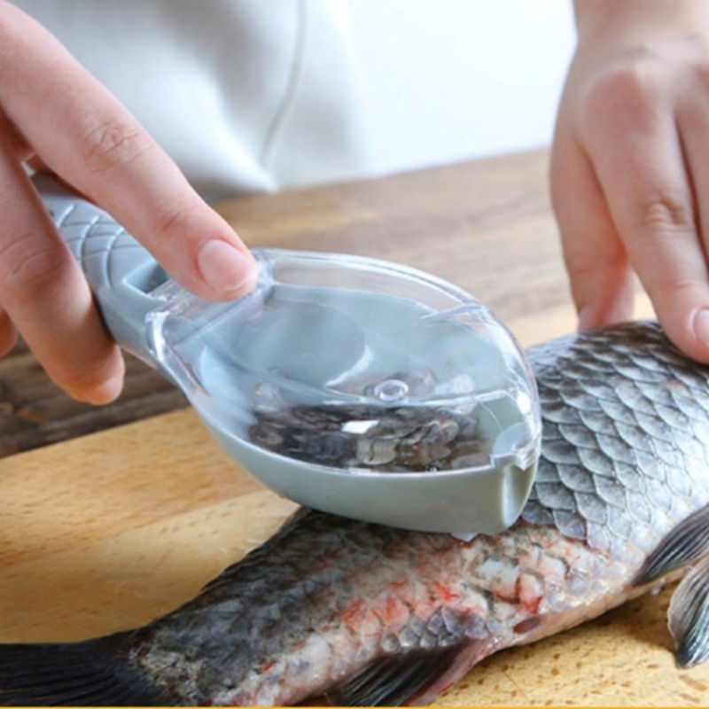 Manual fish scale scraper with lid descaling a fish