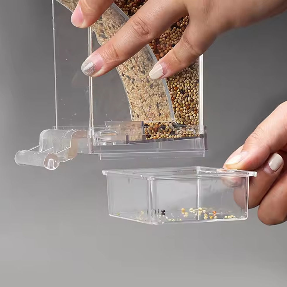 Removing the anti-spill tray from a transparent bird feeder.