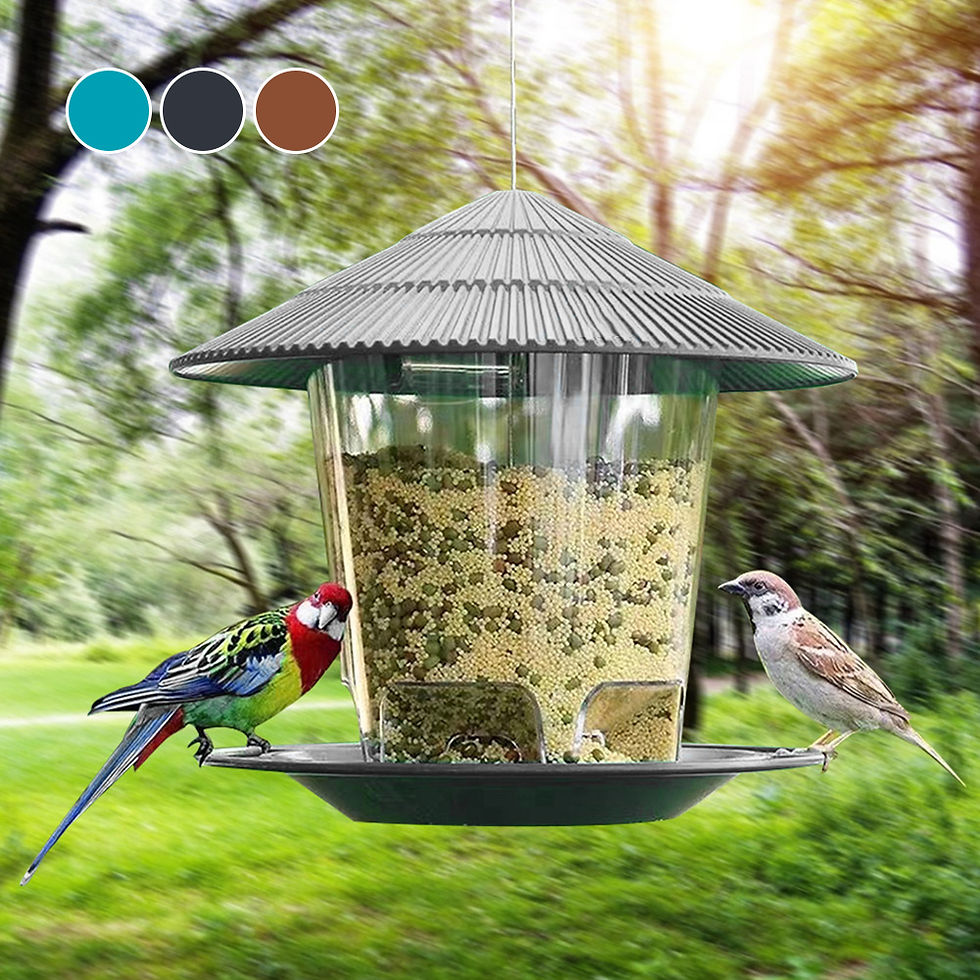 Outdoor bird feeder with seed and birds in a garden