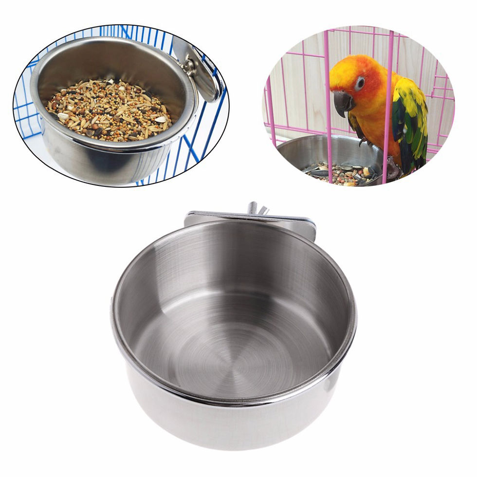 Stainless steel parrot feeding cup and bird cage food dish