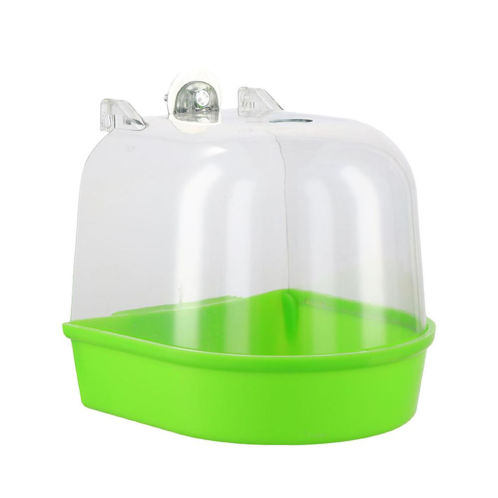 Thumbnail: Hanging bird bath box with green base and clear cover