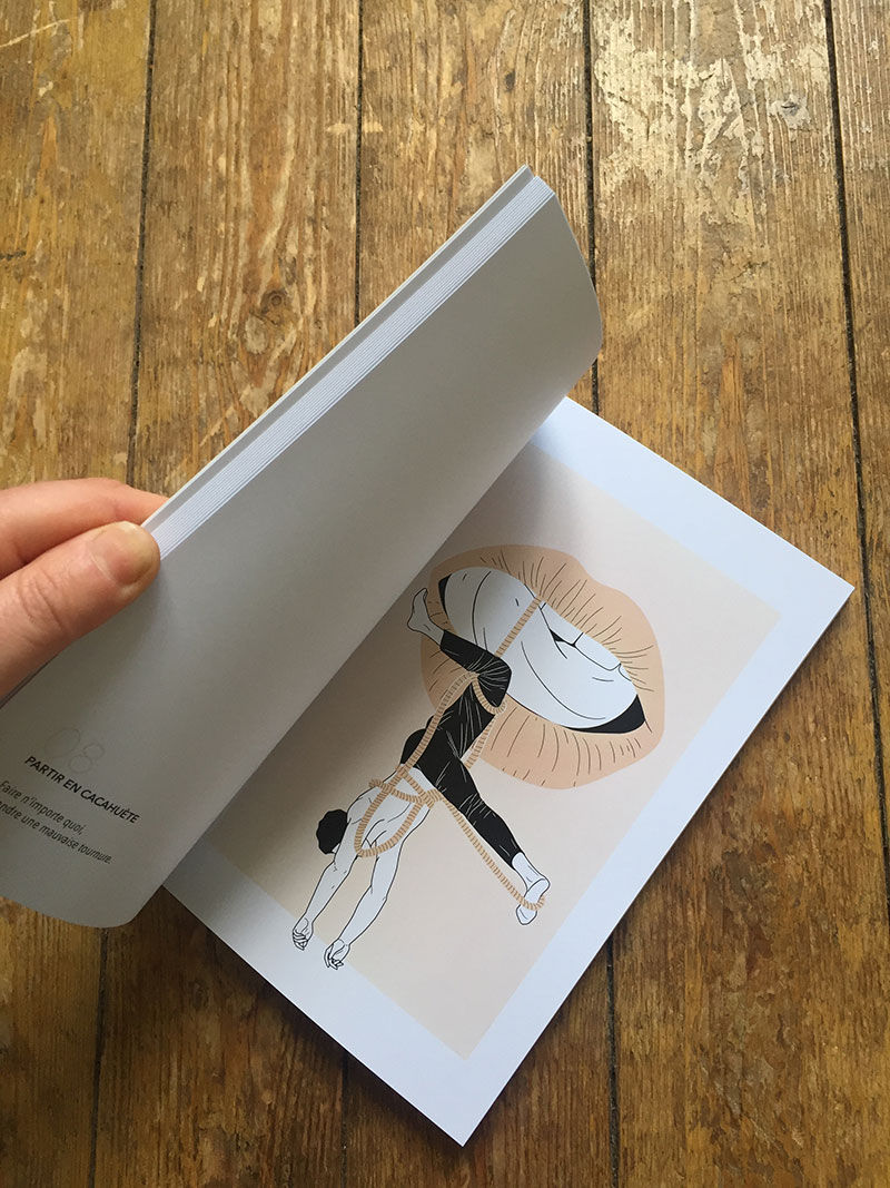 Tome 1 livre 50 expressions françaises illustrées