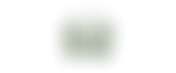 High School High Five