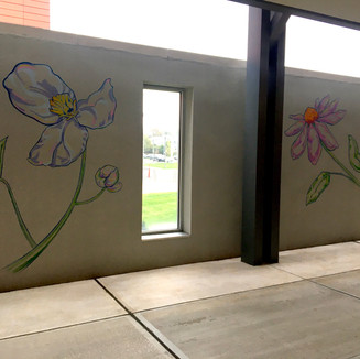 Broadleaf Arrowhead & Coneflower at the Cherry Tree Walk at the Bennet Cancer Center.jpeg