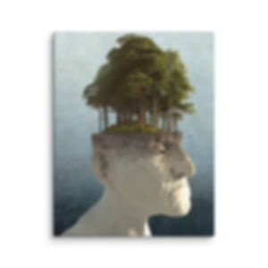 Personal Growth by Cynthia Decker (Asheville, NC)