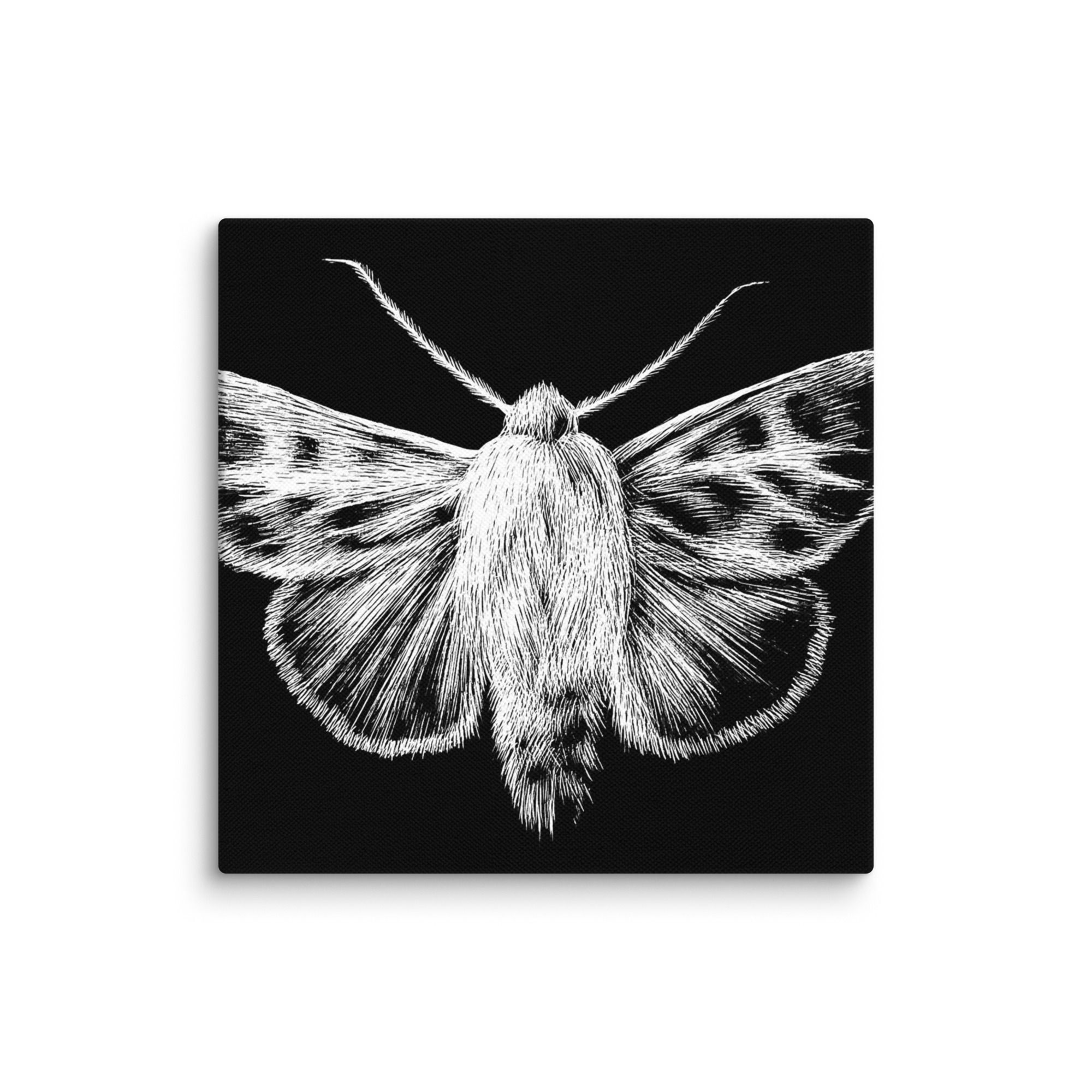 "Metamorphosis" by Emily Burriss (Black Mountain, NC)