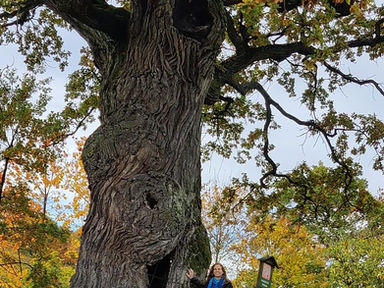 איך להרוויח כסף ממה שאוהבים