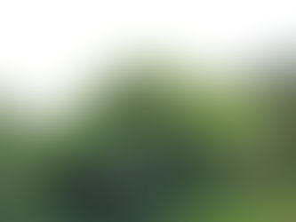 כוהנות המוות