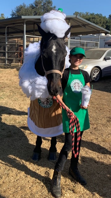 Fall Fun Horse Show