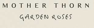 5F190824-801B-4248-9FA0-263F86499FF0.png
