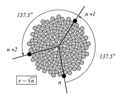 WhatsApp Image 2023-10-26 at 08.53.20_673cc1ab.jpg