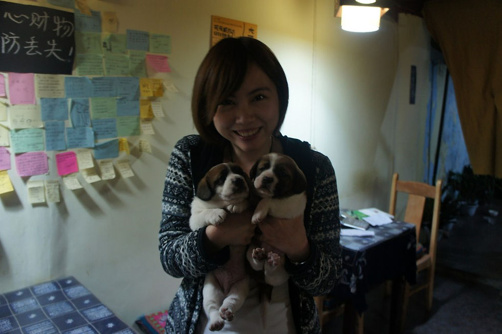 DSC04768 (复制).JPG