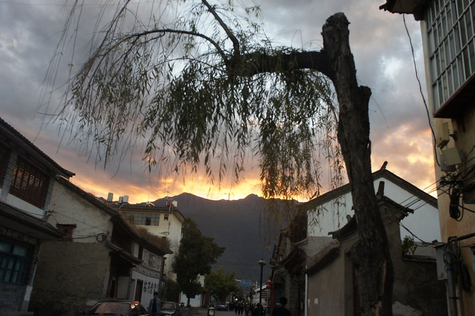 DSC04816 (复制).JPG