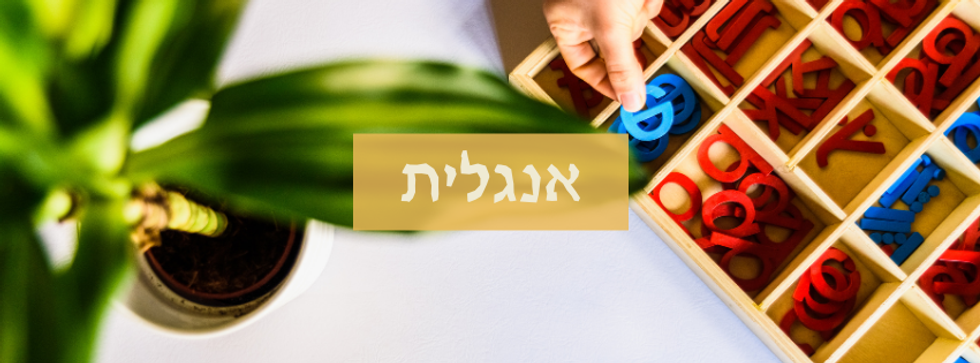 אתר בית יהלי (4).png