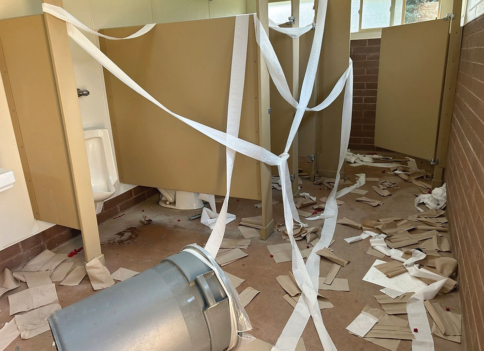 Kettle Falls Day Use Restrooms Reopen After Vandalism