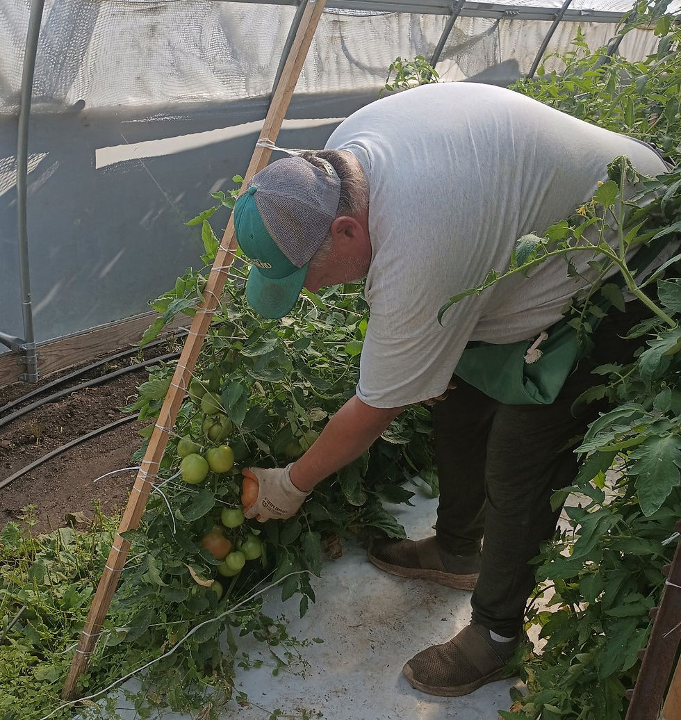 Summer Crops See Slow Start
