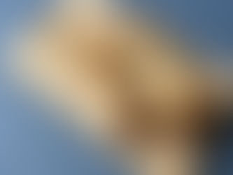 Pølsehorn med Siliana og ostepølse