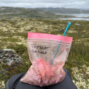 Proteinrik teltgrøt med sjokolade og jordbær