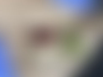 Kalkunwraps - god og mettende turmat