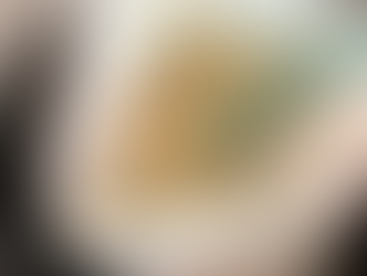 Kjøtt- og risgryte med grønnsaker - tørket turmat