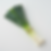 Poireaux Fins Bio