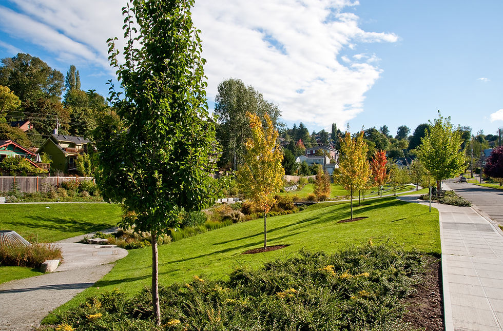 Seattle suburban park