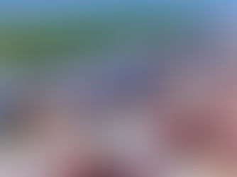 Hanseatic Global Terminals Latin America launched