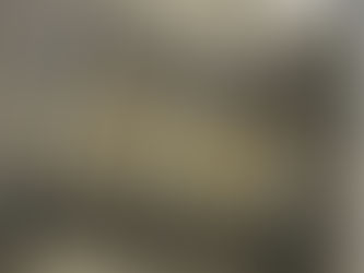 Mission espaces verts pour notre équipe des services associés