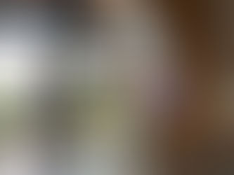 BIO-PROPRE, partenaire des collectivités pour un nettoyage de vitrerie professionnel et durable