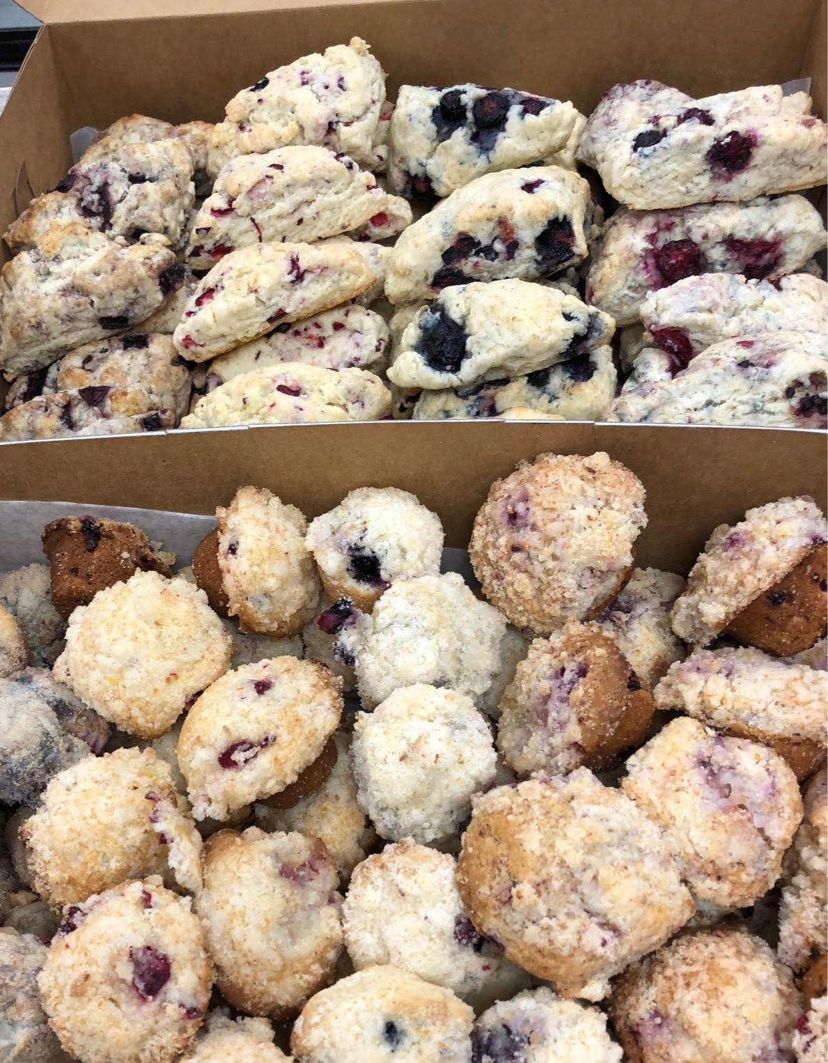 mini scones and muffins