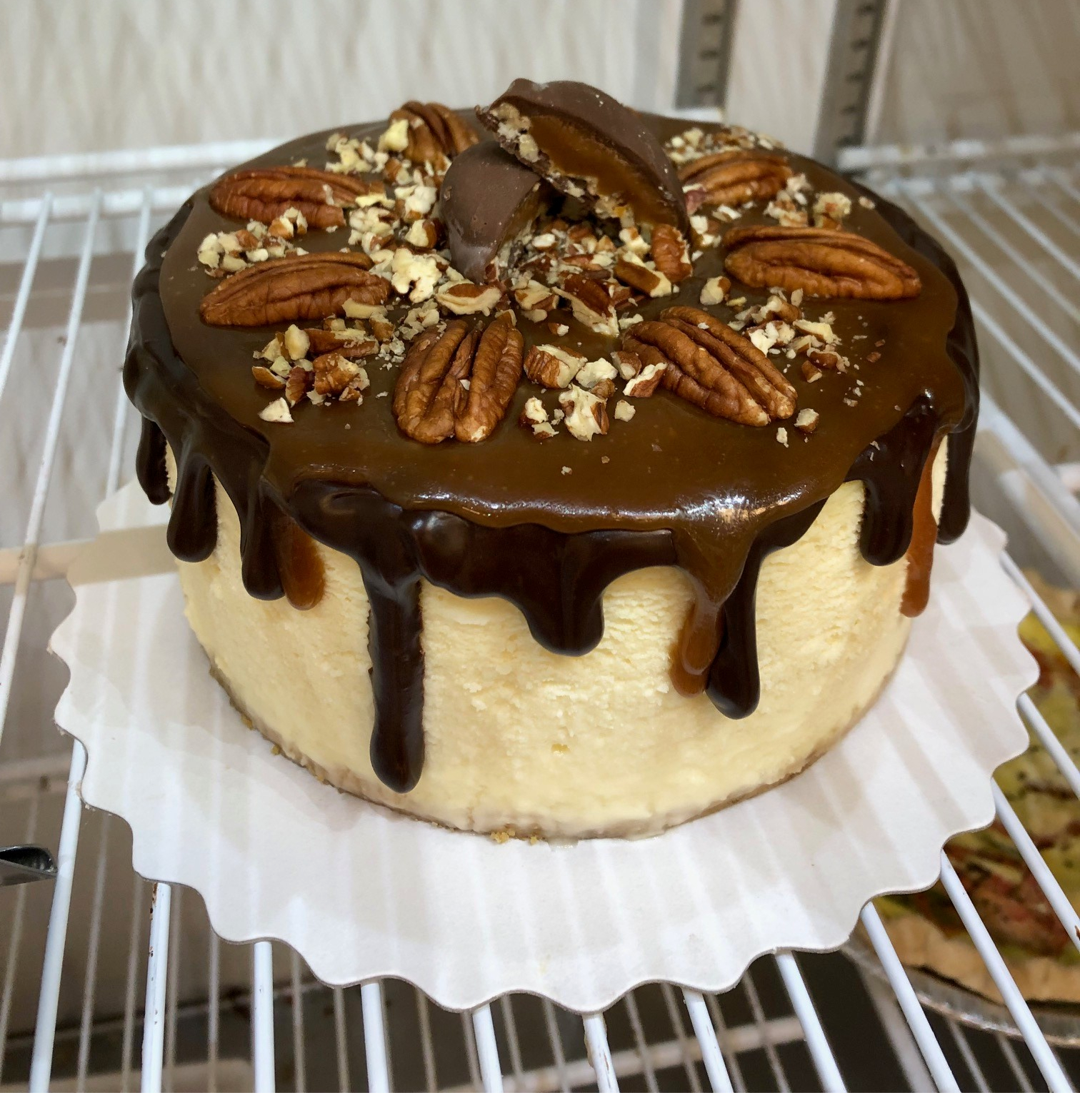 cheesecake - turtle