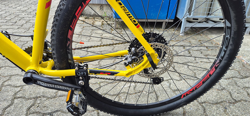 Thumbnail: Mountainbike Megamo