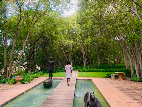 Looking back to steer forward