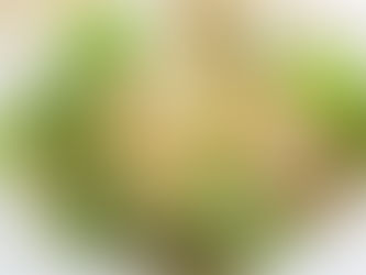 Pasta med krämig kycklingssås