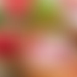 What Are the Best Pre-Practice Foods for Your Child