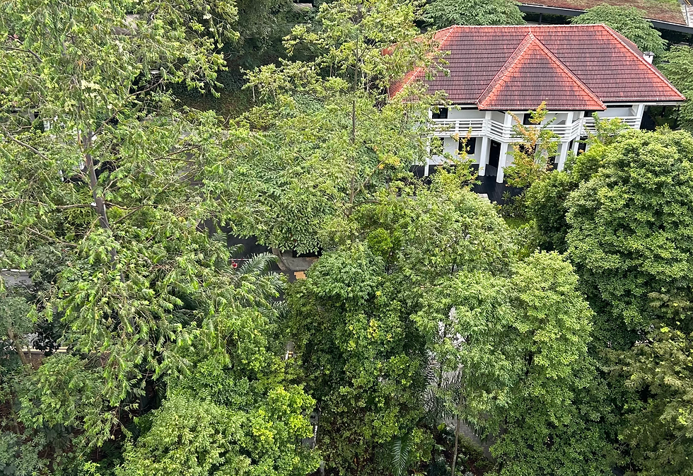 Singapore.heic