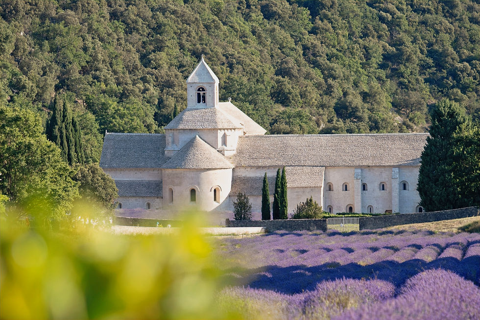 Abbaye ND de Senanque-1_edited.jpg