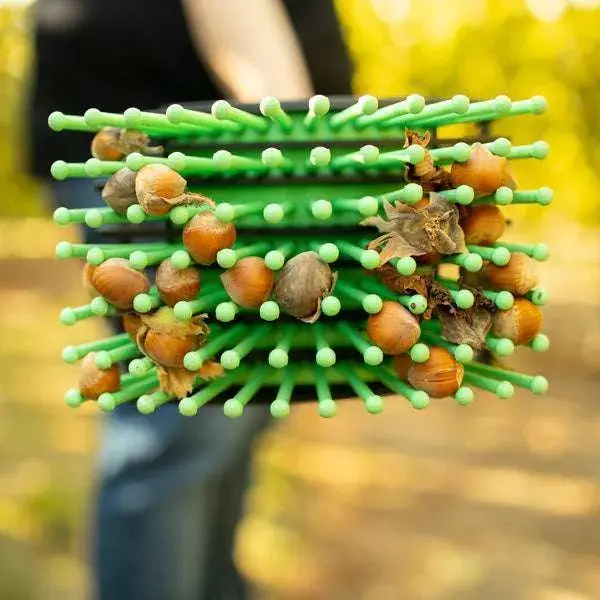 Miniature : Stab-A-Nut Hazelnut Harvester